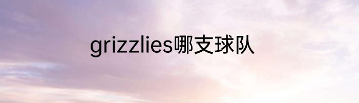 grizzlies哪支球队