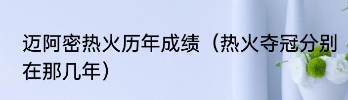 迈阿密热火历年成绩（热火夺冠分别在那几年）