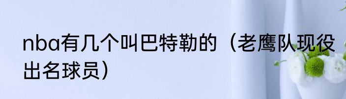 nba有几个叫巴特勒的（老鹰队现役出名球员）