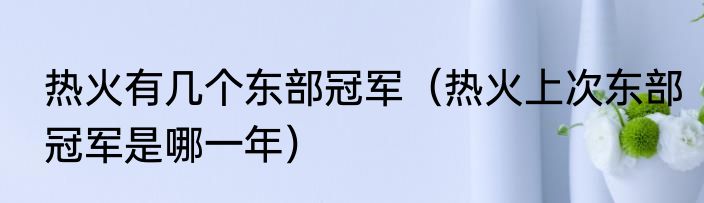 热火有几个东部冠军（热火上次东部冠军是哪一年）