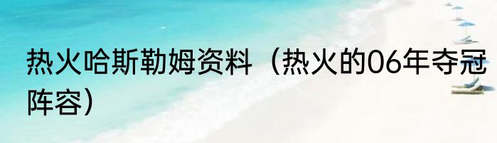 热火哈斯勒姆资料（热火的06年夺冠阵容）