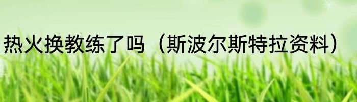 热火换教练了吗（斯波尔斯特拉资料）