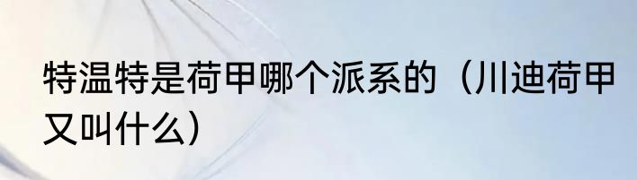特温特是荷甲哪个派系的（川迪荷甲又叫什么）