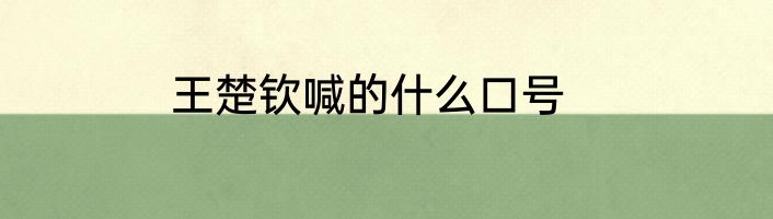 王楚钦喊的什么口号