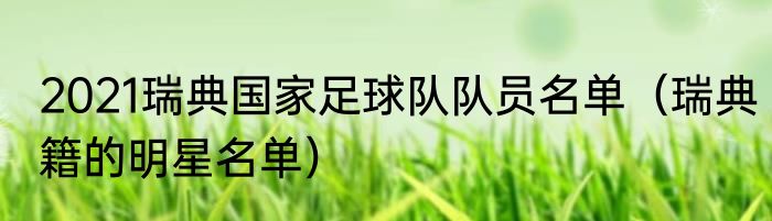 2021瑞典国家足球队队员名单（瑞典籍的明星名单）