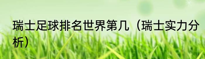 瑞士足球排名世界第几（瑞士实力分析）