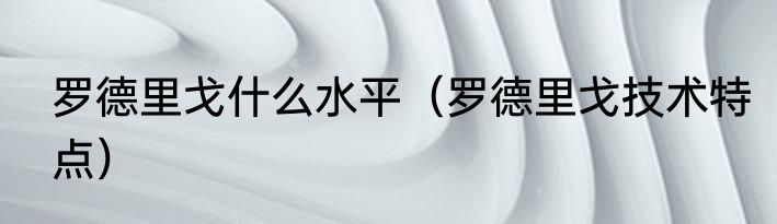 罗德里戈什么水平（罗德里戈技术特点）