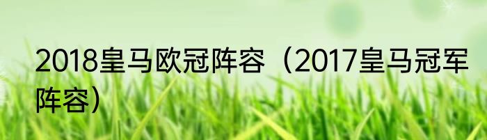2018皇马欧冠阵容（2017皇马冠军阵容）