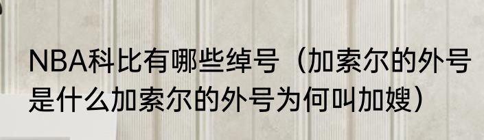 NBA科比有哪些绰号（加索尔的外号是什么加索尔的外号为何叫加嫂）