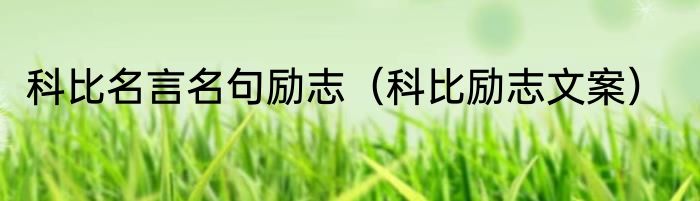 科比名言名句励志（科比励志文案）