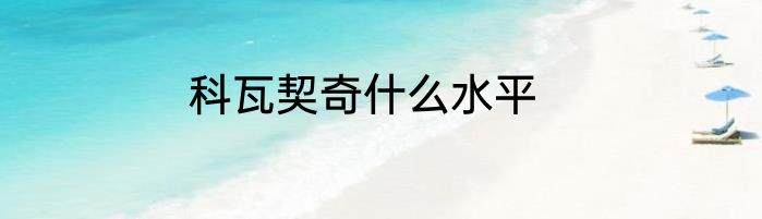 科瓦契奇什么水平