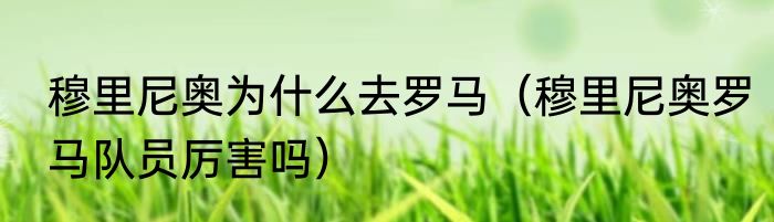 穆里尼奥为什么去罗马（穆里尼奥罗马队员厉害吗）