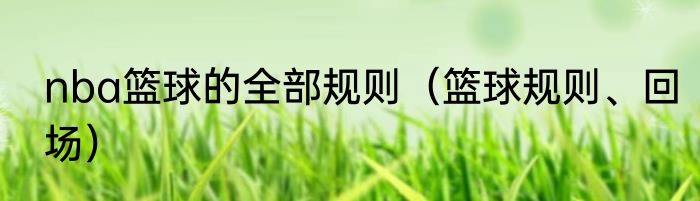 nba篮球的全部规则（篮球规则、回场）