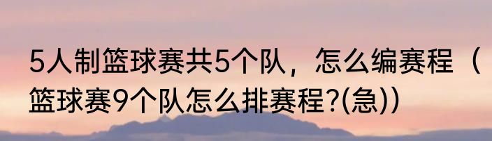 5人制篮球赛共5个队，怎么编赛程（篮球赛9个队怎么排赛程?(急)）