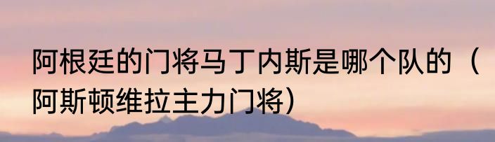 阿根廷的门将马丁内斯是哪个队的（阿斯顿维拉主力门将）