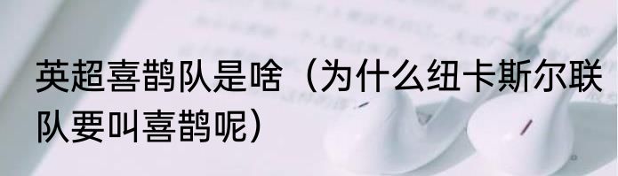 英超喜鹊队是啥（为什么纽卡斯尔联队要叫喜鹊呢）