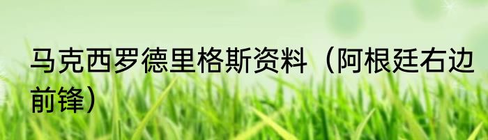 马克西罗德里格斯资料（阿根廷右边前锋）