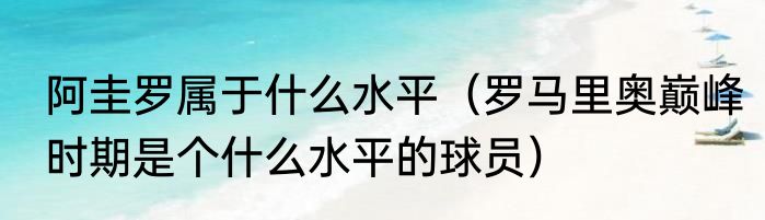 阿圭罗属于什么水平（罗马里奥巅峰时期是个什么水平的球员）