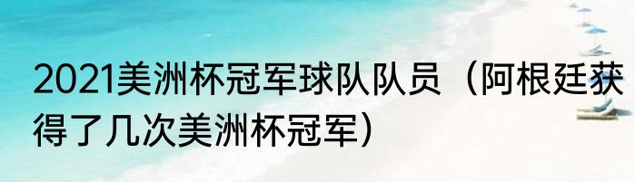2021美洲杯冠军球队队员（阿根廷获得了几次美洲杯冠军）