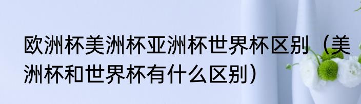 欧洲杯美洲杯亚洲杯世界杯区别（美洲杯和世界杯有什么区别）