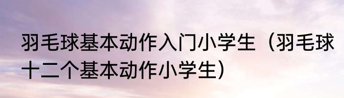 羽毛球基本动作入门小学生（羽毛球十二个基本动作小学生）
