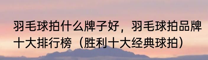 羽毛球拍什么牌子好，羽毛球拍品牌十大排行榜（胜利十大经典球拍）