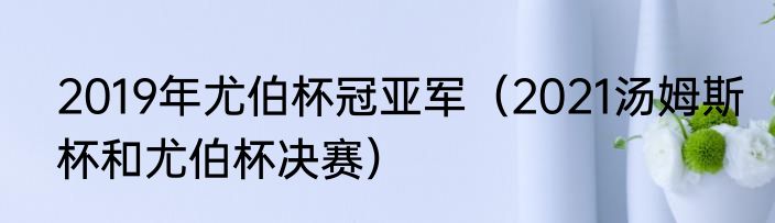 2019年尤伯杯冠亚军（2021汤姆斯杯和尤伯杯决赛）
