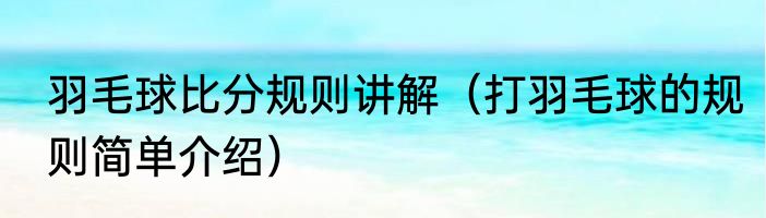 羽毛球比分规则讲解（打羽毛球的规则简单介绍）