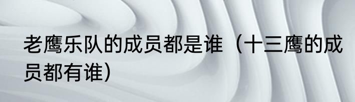 老鹰乐队的成员都是谁（十三鹰的成员都有谁）