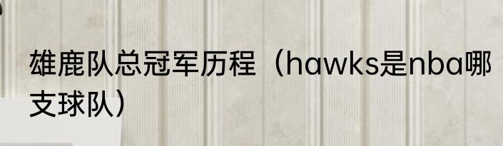 雄鹿队总冠军历程（hawks是nba哪支球队）