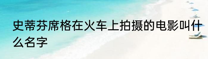 史蒂芬席格在火车上拍摄的电影叫什么名字