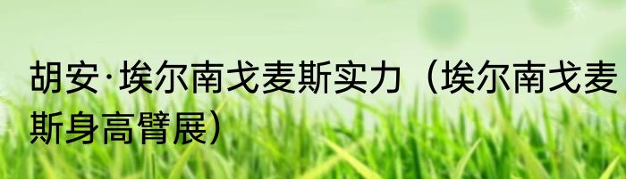 胡安·埃尔南戈麦斯实力（埃尔南戈麦斯身高臂展）