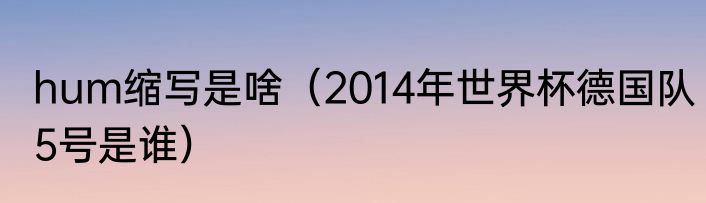 hum缩写是啥（2014年世界杯德国队5号是谁）