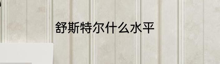 舒斯特尔什么水平