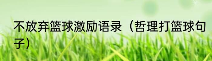 不放弃篮球激励语录（哲理打篮球句子）