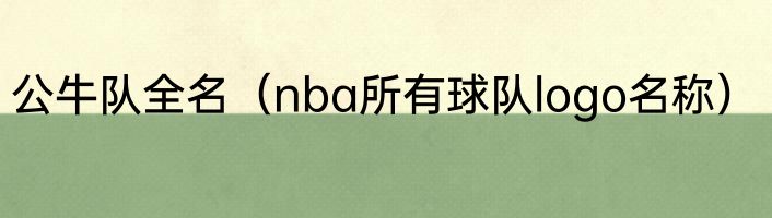 公牛队全名（nba所有球队logo名称）
