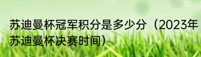 苏迪曼杯冠军积分是多少分（2023年苏迪曼杯决赛时间）