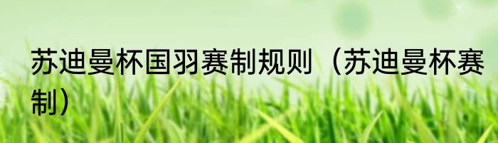 苏迪曼杯国羽赛制规则（苏迪曼杯赛制）