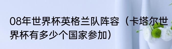 08年世界杯英格兰队阵容（卡塔尔世界杯有多少个国家参加）