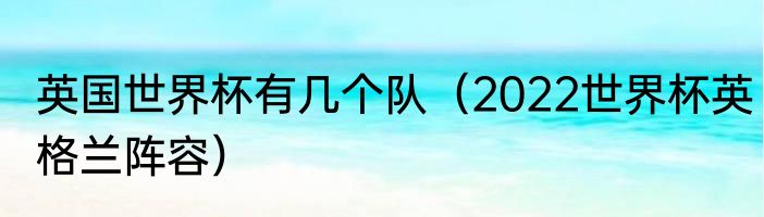 英国世界杯有几个队（2022世界杯英格兰阵容）