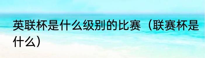 英联杯是什么级别的比赛（联赛杯是什么）