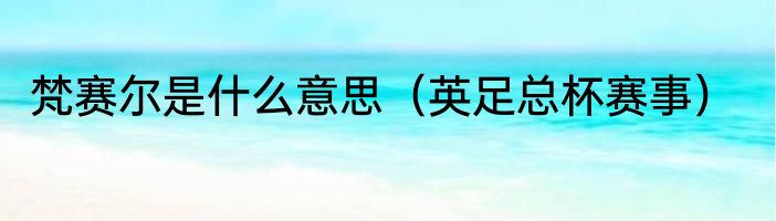 梵赛尔是什么意思（英足总杯赛事）