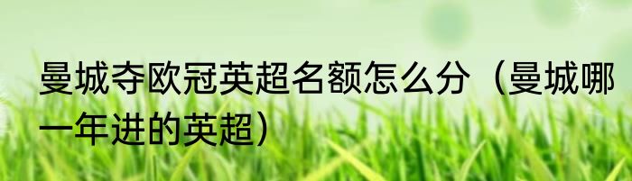 曼城夺欧冠英超名额怎么分（曼城哪一年进的英超）