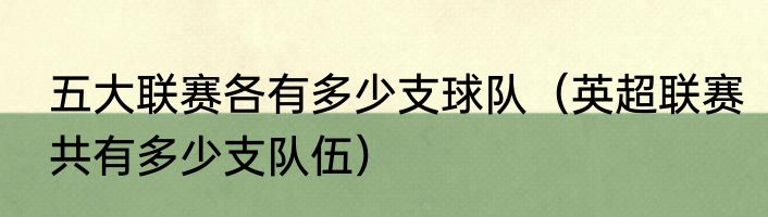 五大联赛各有多少支球队（英超联赛共有多少支队伍）