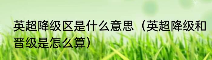 英超降级区是什么意思（英超降级和晋级是怎么算）