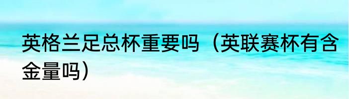 英格兰足总杯重要吗（英联赛杯有含金量吗）