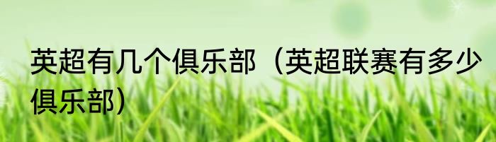 英超有几个俱乐部（英超联赛有多少俱乐部）