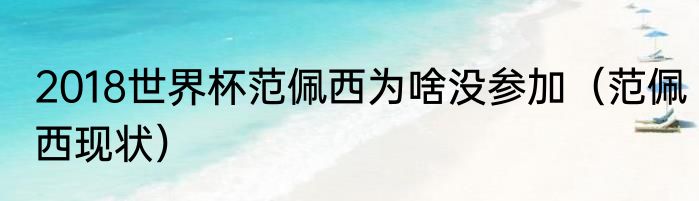 2018世界杯范佩西为啥没参加（范佩西现状）