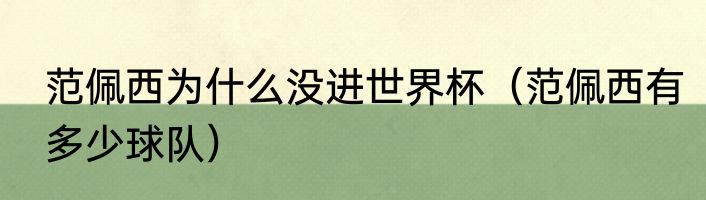 范佩西为什么没进世界杯（范佩西有多少球队）