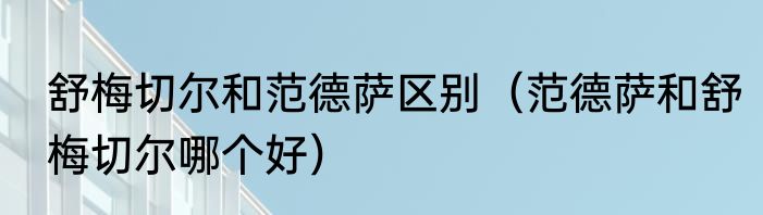 舒梅切尔和范德萨区别（范德萨和舒梅切尔哪个好）